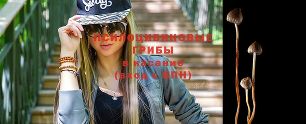 крисы Белоозёрский