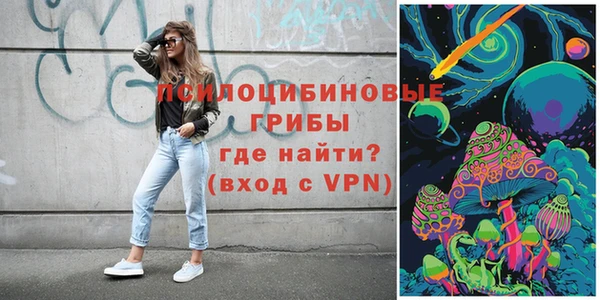 крисы Белоозёрский