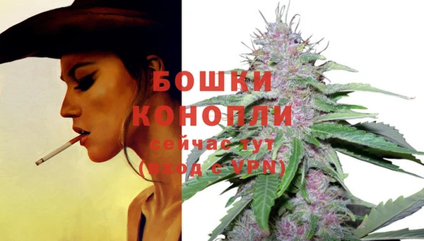 крисы Белоозёрский