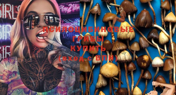 крисы Белоозёрский