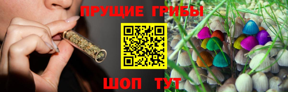 Галлюциногенные грибы Magic Shrooms Аргун