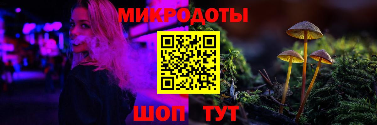 Аргун  Галлюциногенные грибы Psilocybine cubensis  Псилоцибиновые грибы Cubensis  сколько стоит  Вход с VPN 